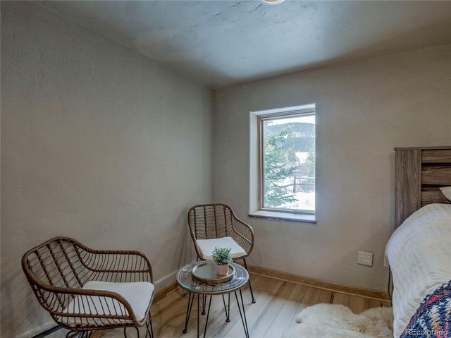 46 Singleton Road, Alma, CO 80420