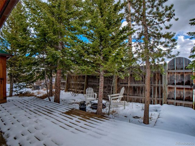 46 Singleton Road, Alma, CO 80420