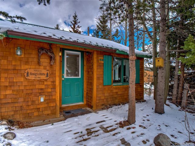 46 Singleton Road, Alma, CO 80420