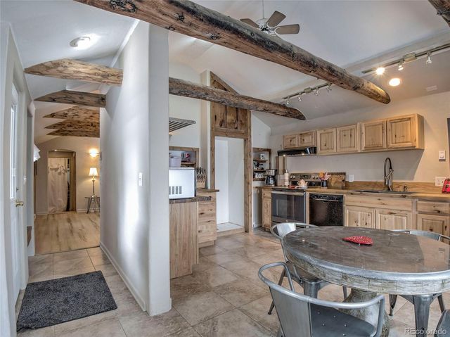 46 Singleton Road, Alma, CO 80420