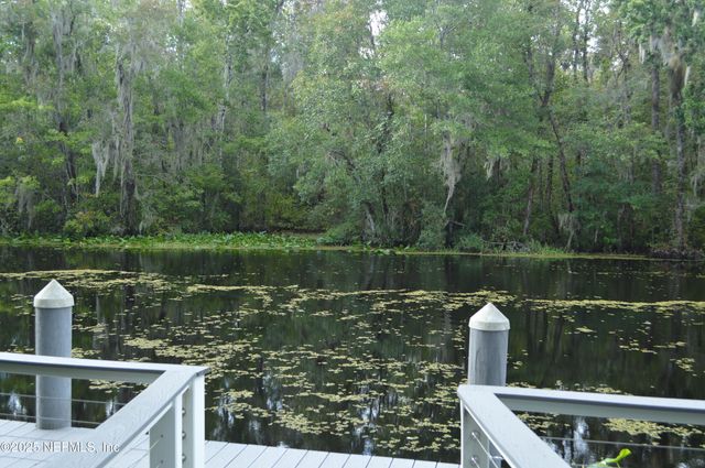 3011 FREE BIRD Loop, Green Cove Springs, FL 32043