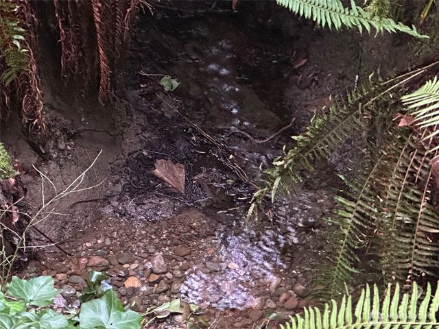 7401 86th Street E, Puyallup, WA 98371