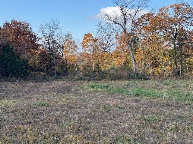 26511 Farm Road 1255, Golden, MO 65658