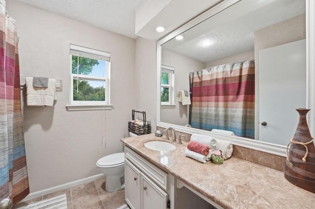 11503 Briar Rose Drive, Houston, TX 77077