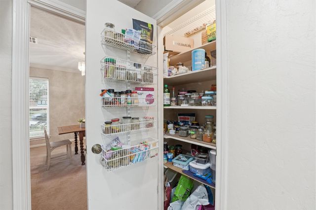 11503 Briar Rose Drive, Houston, TX 77077