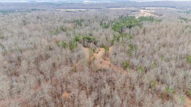 2040 LIBERTY RD, Morris Chapel, TN 38361