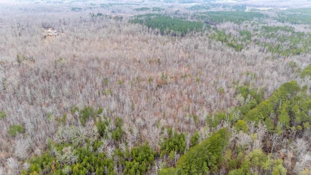 2040 LIBERTY RD, Morris Chapel, TN 38361