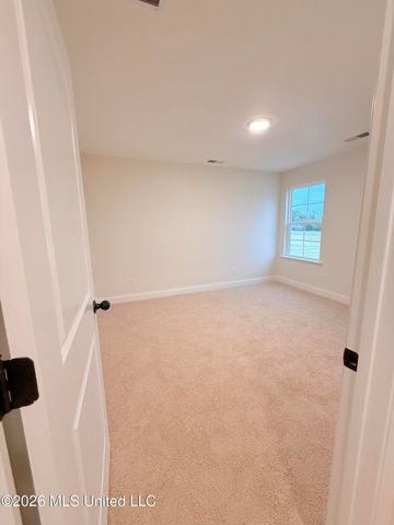 6082 E River Birch Road, Walls, MS 38680