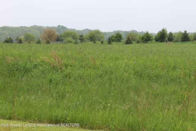 0 Pinebluff Parcel B Drive, Charlotte, MI 48813