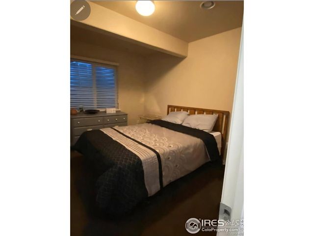 548 Dakota Way, Windsor, CO 80550