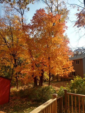 1305 Spruce Place, Mound, MN 55364