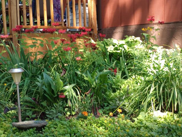 1305 Spruce Place, Mound, MN 55364