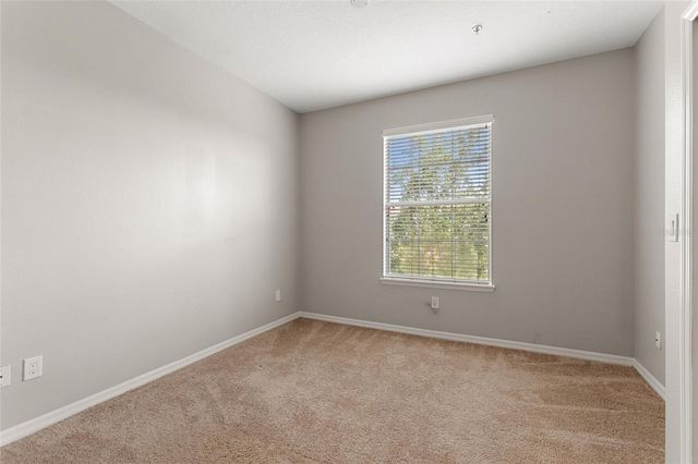 11564 MIZZON DRIVE 923, Windermere, FL 34786