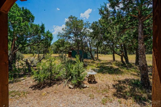 670 Timber Dr, Walsenburg, CO 81089