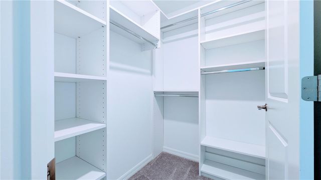 6049 SHINER STREET, Land O Lakes, FL 34638