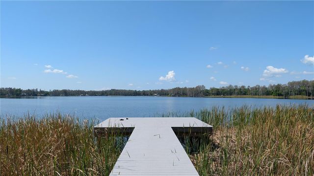 6049 SHINER STREET, Land O Lakes, FL 34638