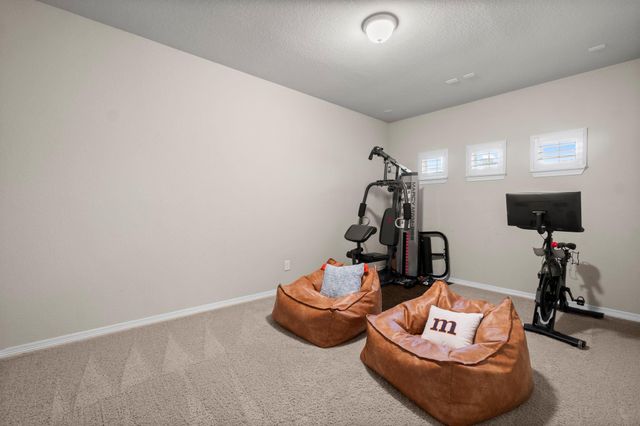 139 Ballantyne Drive, Montgomery, TX 77316