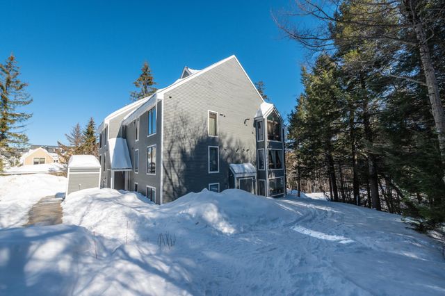 1D Brookside Village Way M22, Dover, VT 05356