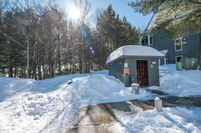 1D Brookside Village Way M22, Dover, VT 05356