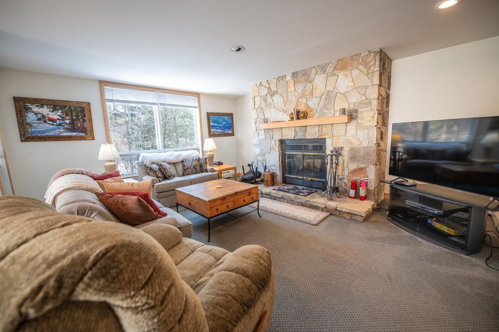 1D Brookside Village Way M22, Dover, VT 05356