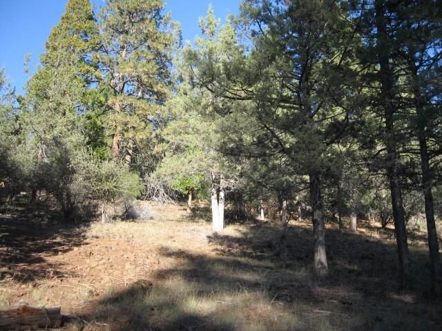 15709 Black Bear Court, Keno, OR 97627