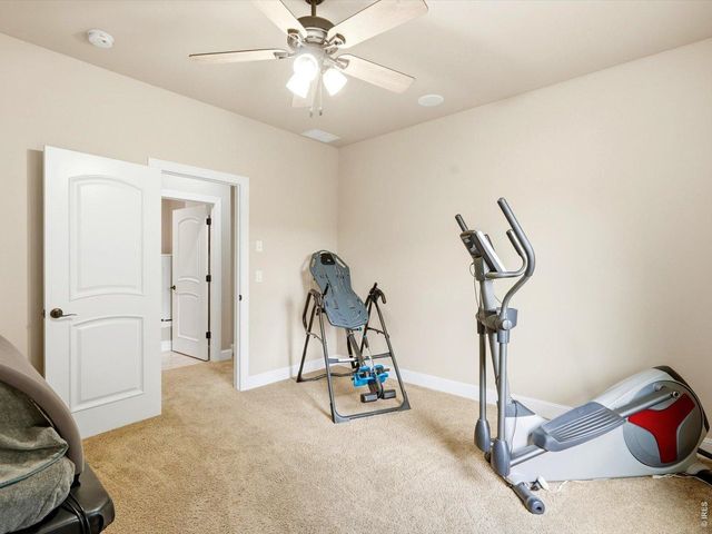 1530 Waterfront Dr, Windsor, CO 80550