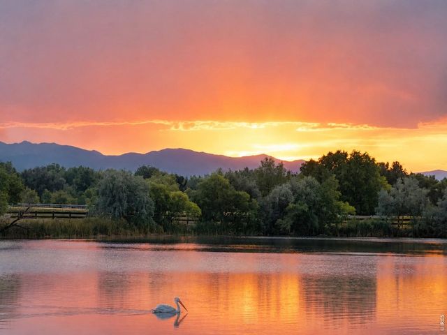 1530 Waterfront Dr, Windsor, CO 80550