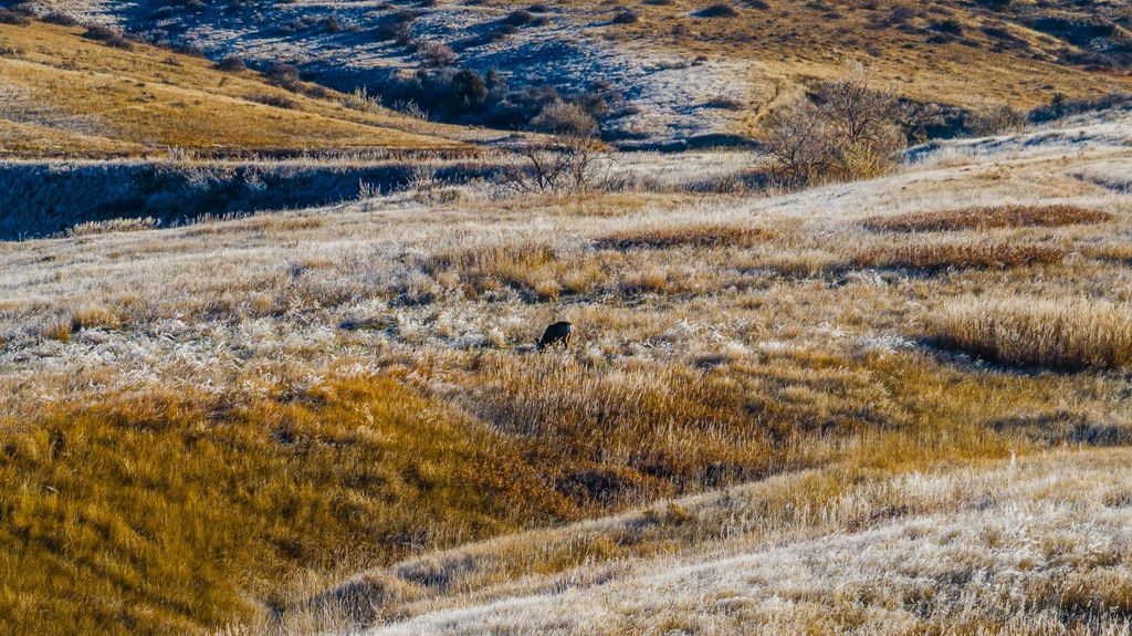 99 East Lane Lane, Sheridan, WY 82801 photo 22