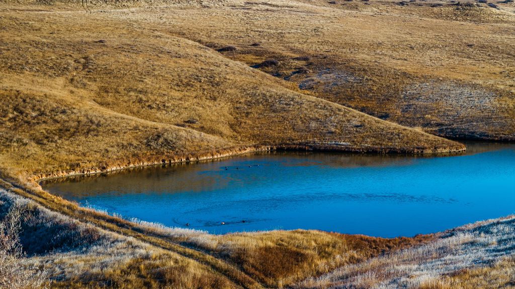 99 East Lane Lane, Sheridan, WY 82801 photo 25