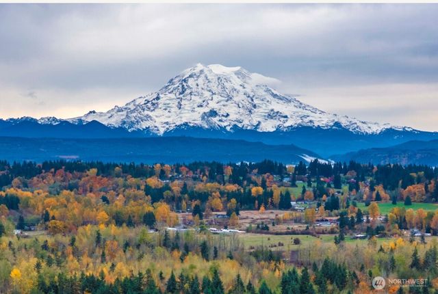 22107 84th Avenue Ct E, Graham, WA 98338