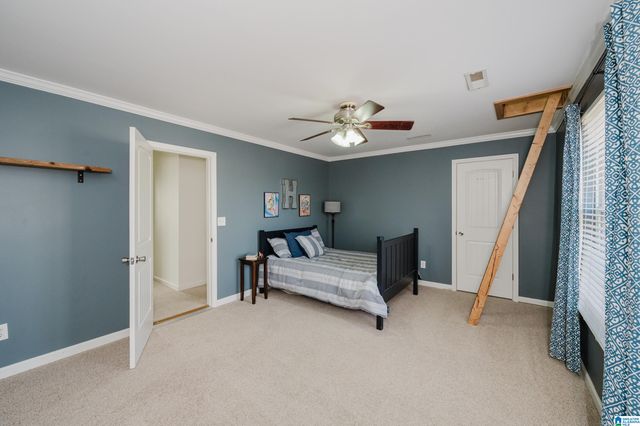 220 CAMELLIA DRIVE, Chelsea, AL 35043