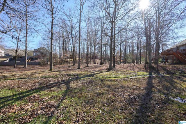 220 CAMELLIA DRIVE, Chelsea, AL 35043