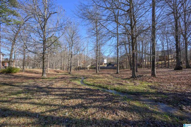 220 CAMELLIA DRIVE, Chelsea, AL 35043