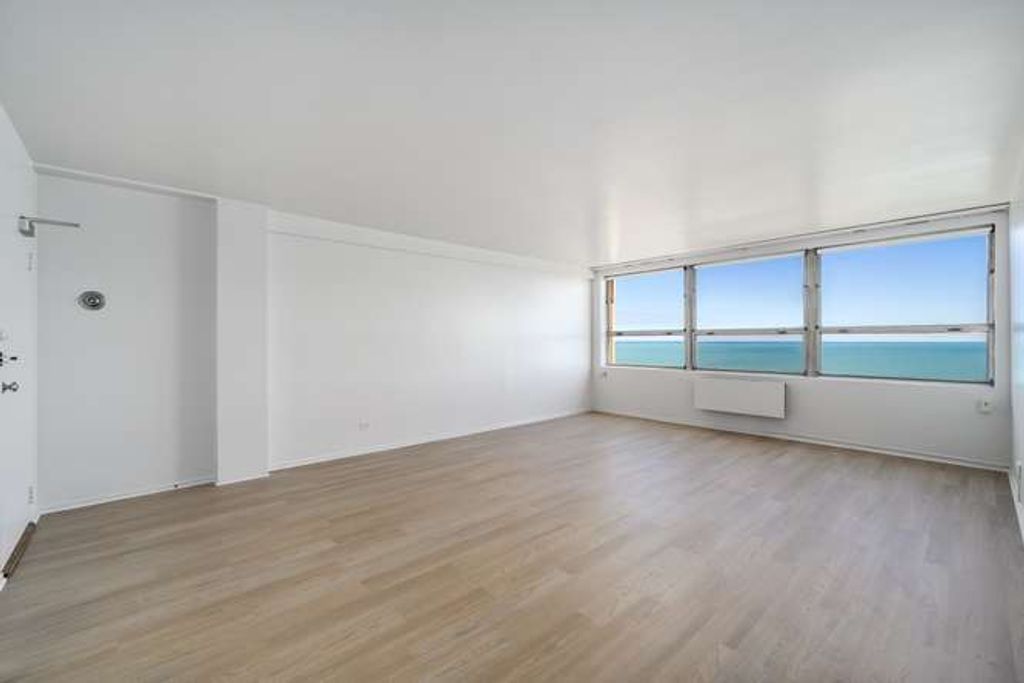 5530 S South Shore Drive 17B, Chicago, IL 60637 — photo 3