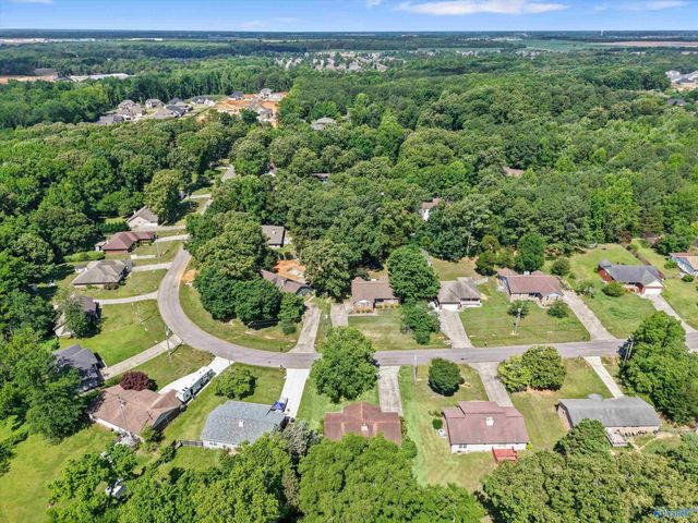 10320 Long Meadow Road, Madison, AL 35756