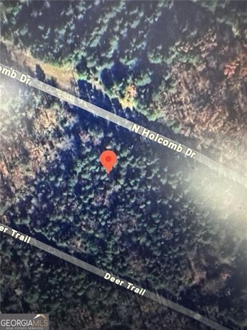 664 N Holcomb Drive, Martin, GA 30557