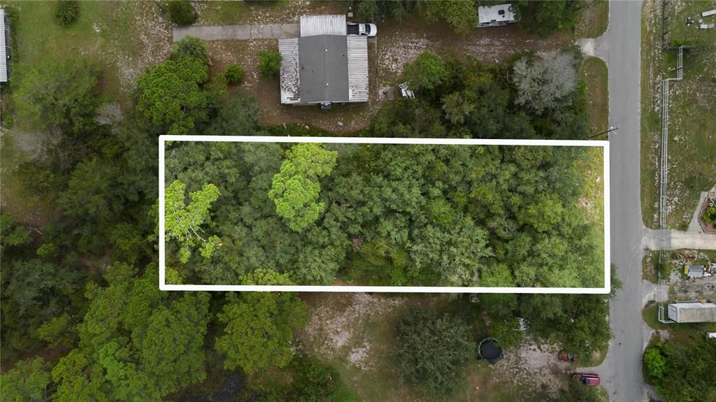 0 CEDAR STREET, Paisley, FL 32767