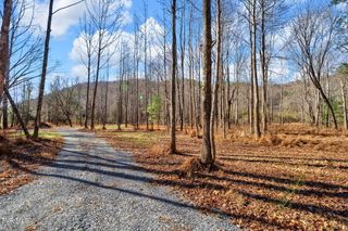 Tbd Mcinturff Springs Road, Erwin, TN 37650