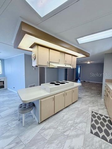 1011 ELIZABETH LANE, Lakeland, FL 33809