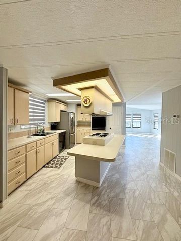 1011 ELIZABETH LANE, Lakeland, FL 33809