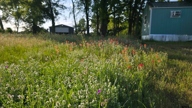 1055 County Road 1226, Quitman, TX 75783