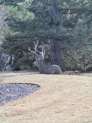 7387 Norfolk Place, Castle Pines, CO 80108