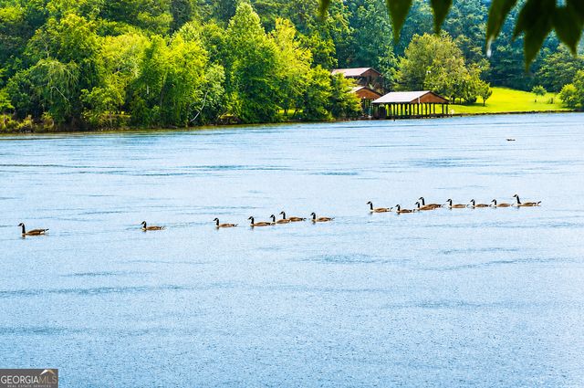 115 Rocky Point Road, Jackson, GA 30233