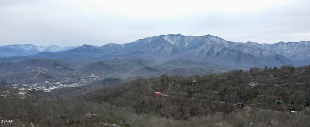 1130 Ski View Drive, Gatlinburg, TN 37738