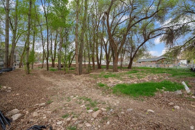 1544 E 1200 S, Springville, UT 84663