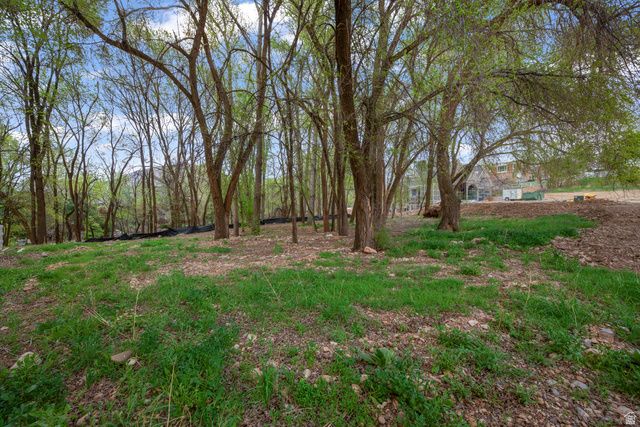 1544 E 1200 S, Springville, UT 84663