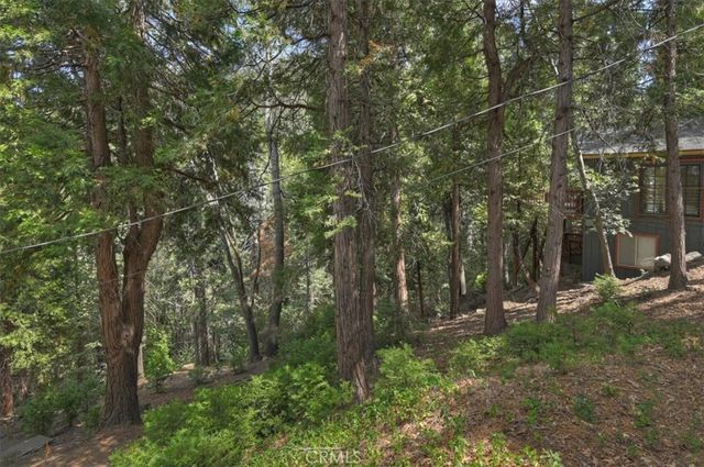 515 View, Lake Arrowhead, CA 92352