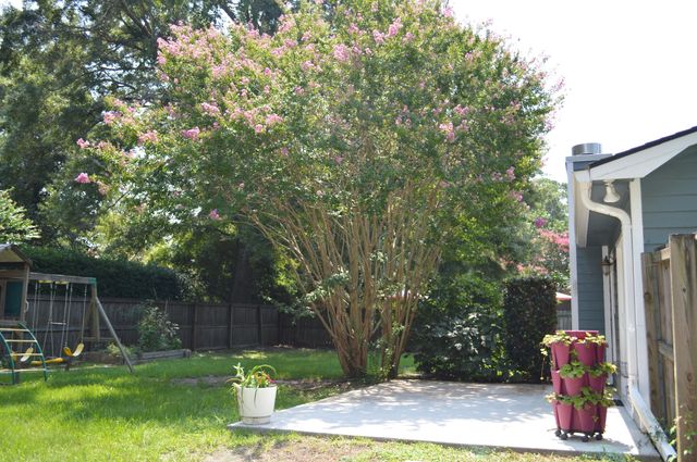 1777 Banbury Road, Charleston, SC 29414