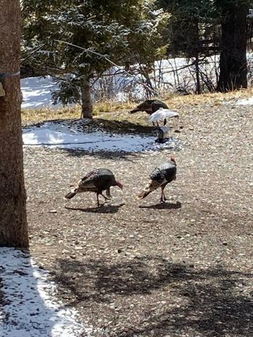 189 Quinn Creek Road, Bozeman, MT 59715