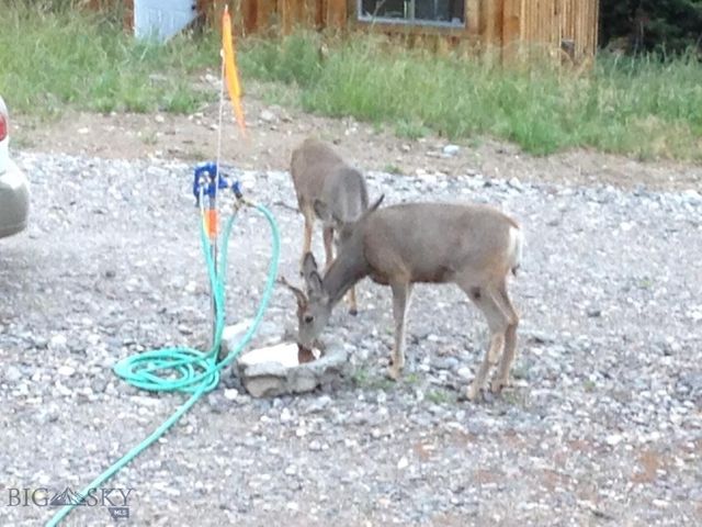 189 Quinn Creek Road, Bozeman, MT 59715